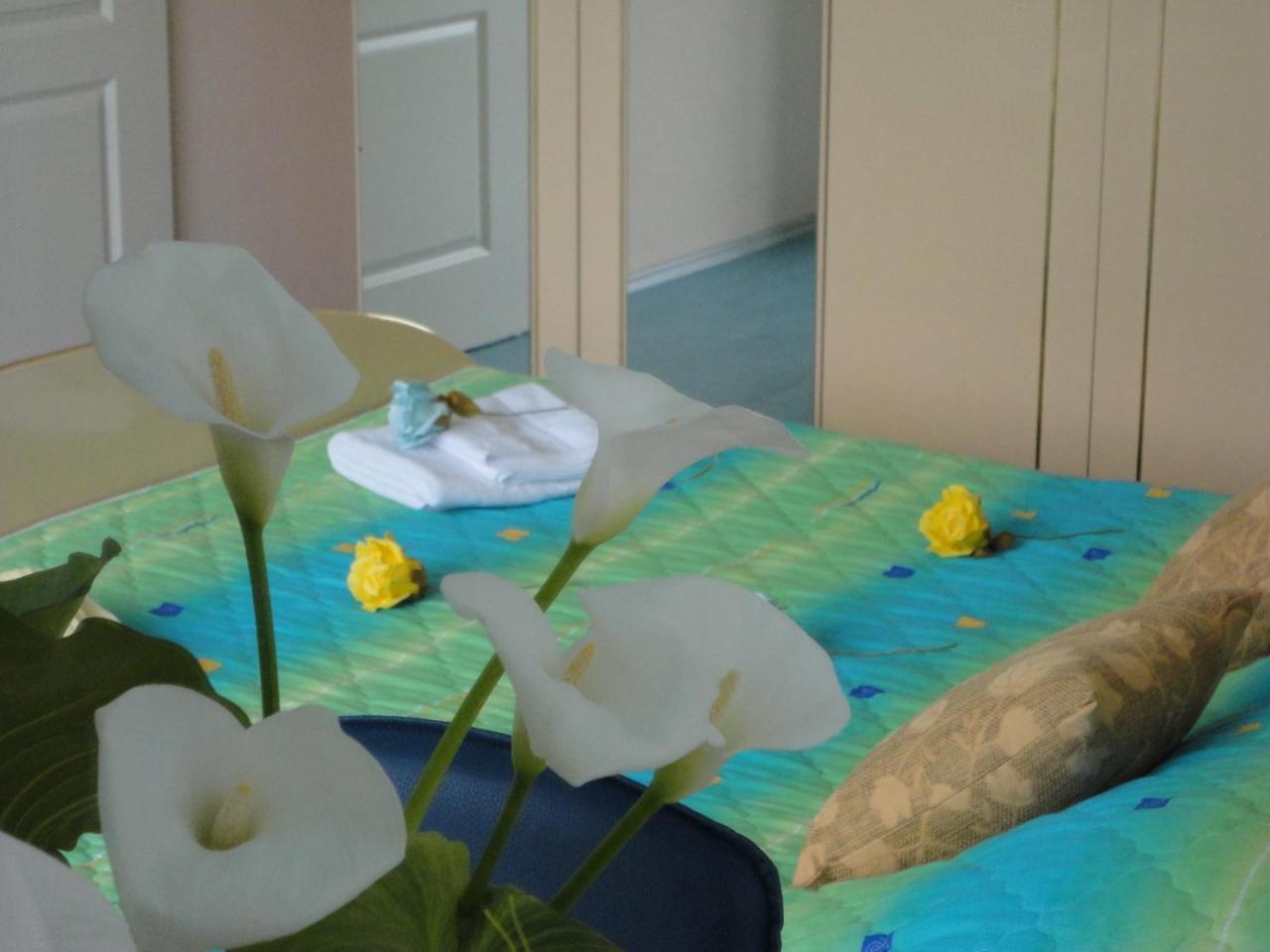 Accommodation J&T Ohrid Ngoại thất bức ảnh